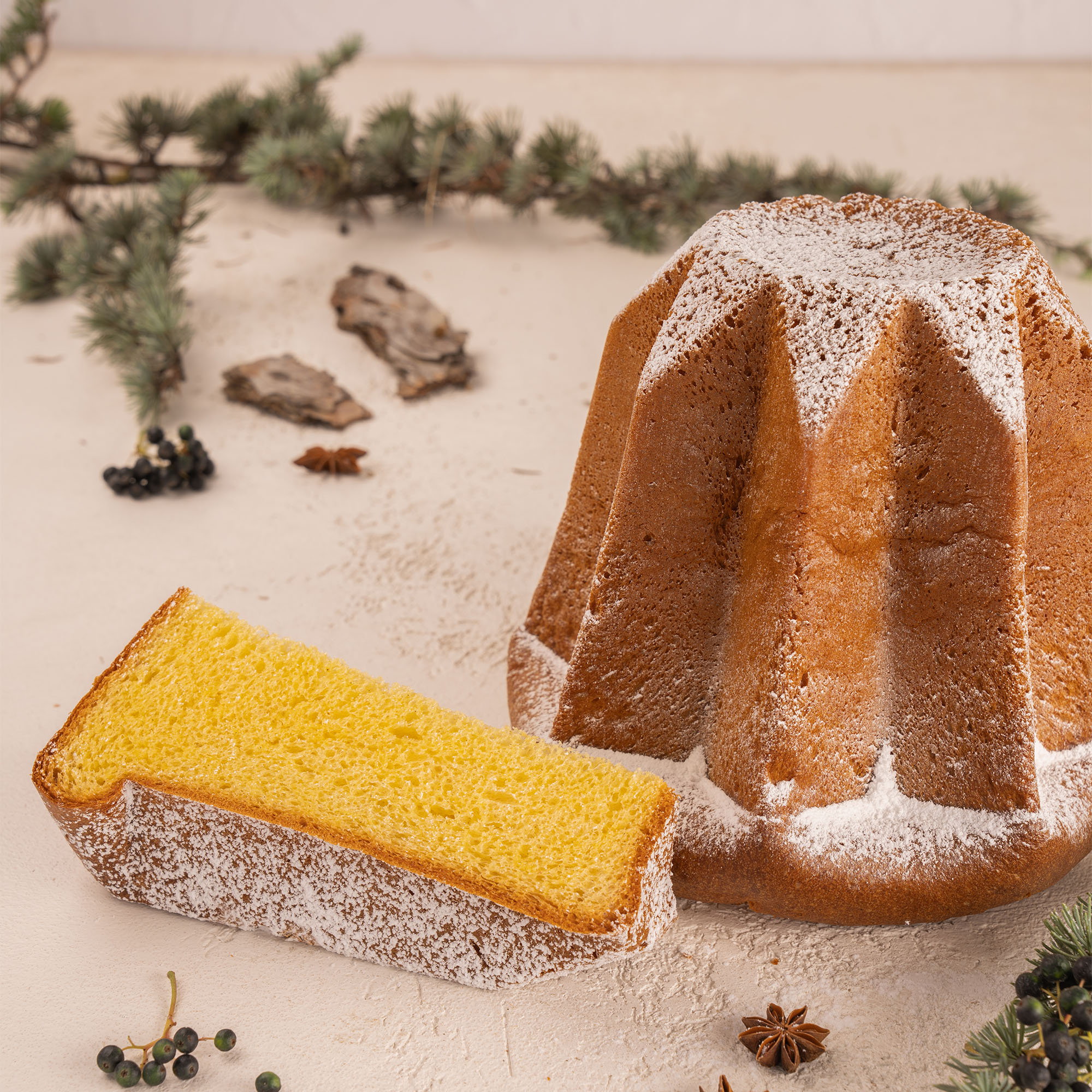 Pandoro FiorFiore TuttoFesta zucchero a velo ricette lievitati per professioisti